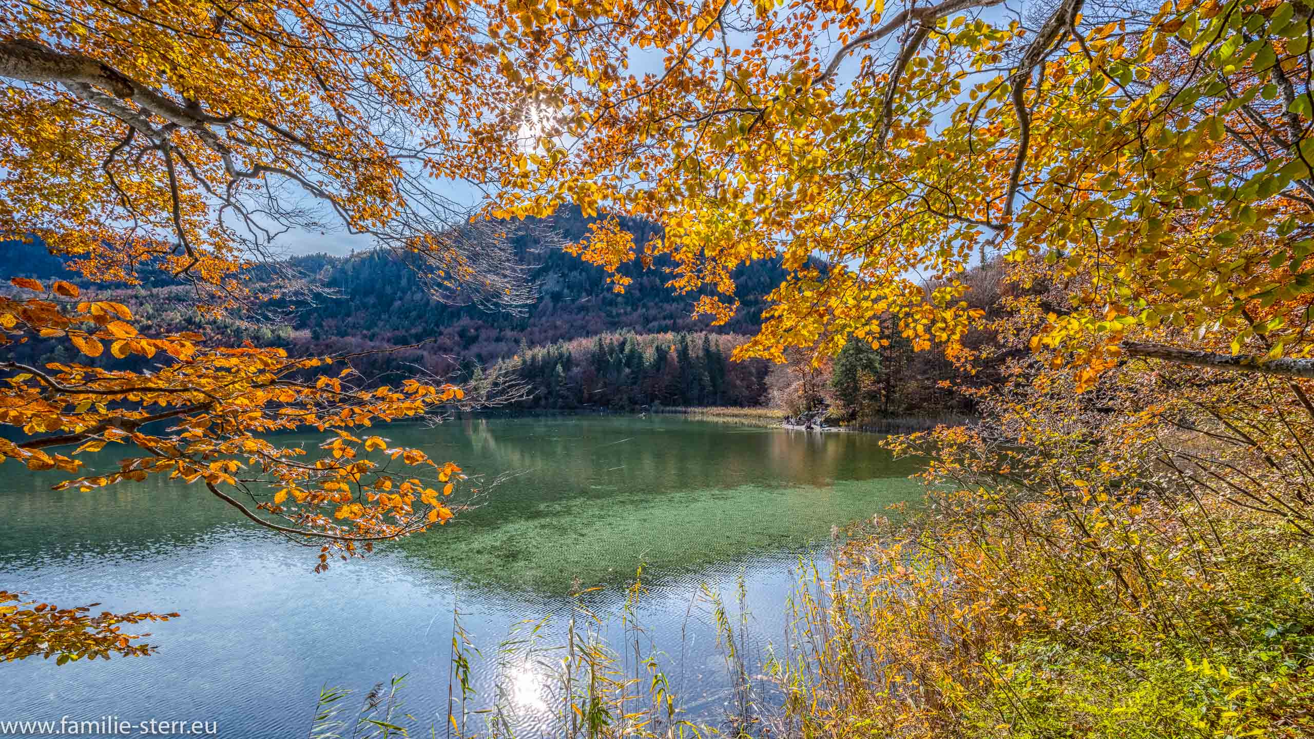 Alpsee im Herbst
